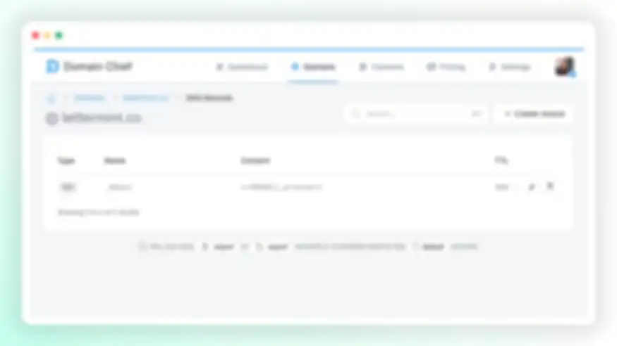 Domain Chief DNS settings